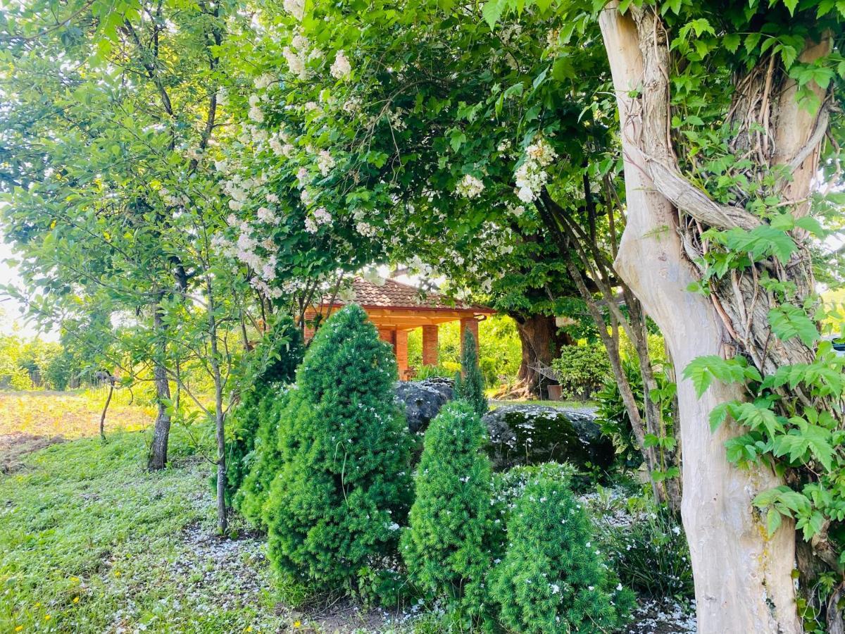 Guesthouse Kamelia Martvili Buitenkant foto