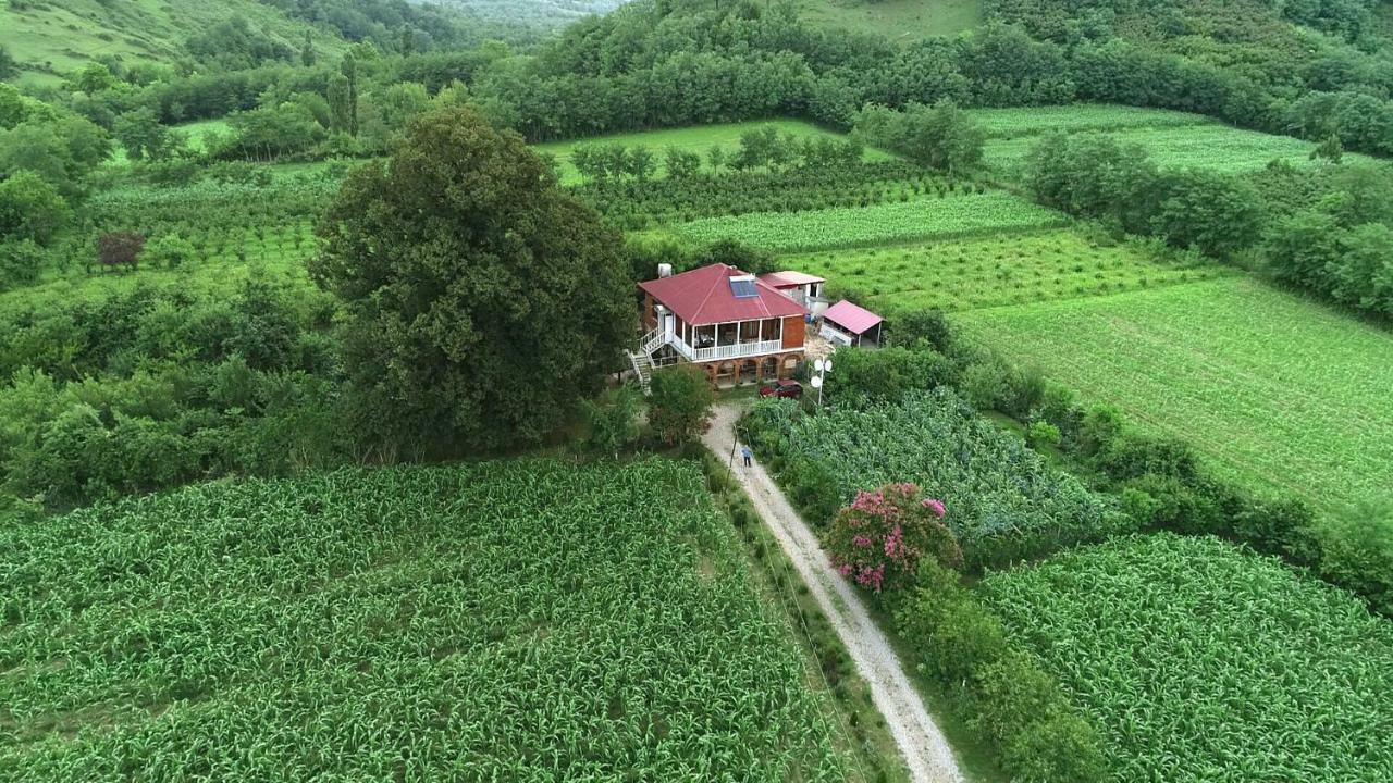 Guesthouse Kamelia Martvili Buitenkant foto