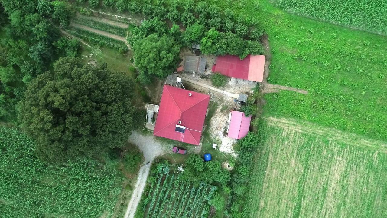 Guesthouse Kamelia Martvili Buitenkant foto