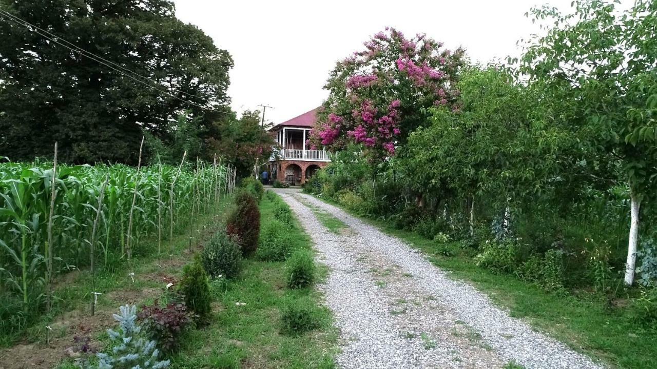 Guesthouse Kamelia Martvili Buitenkant foto