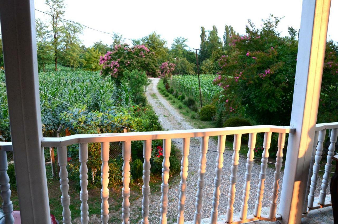 Guesthouse Kamelia Martvili Buitenkant foto