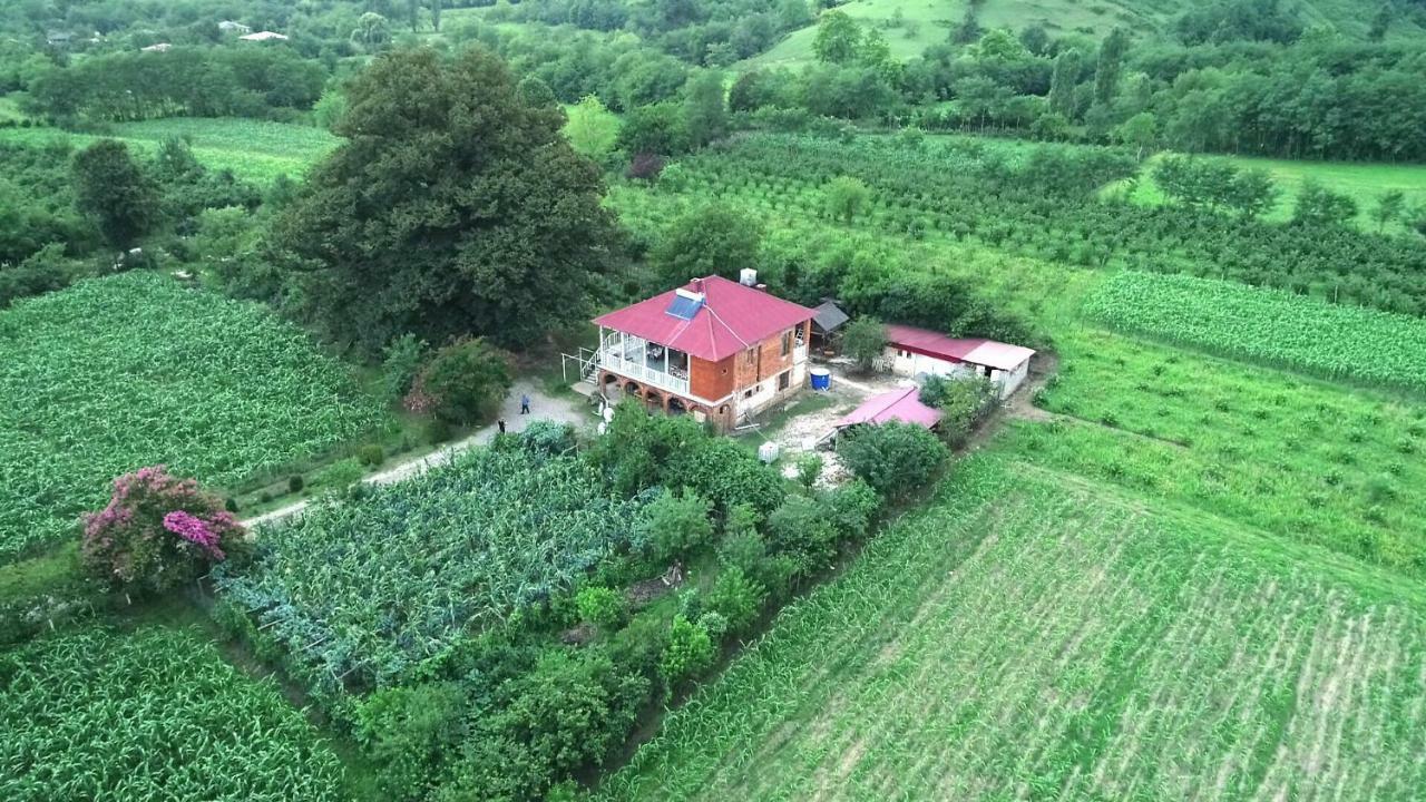 Guesthouse Kamelia Martvili Buitenkant foto