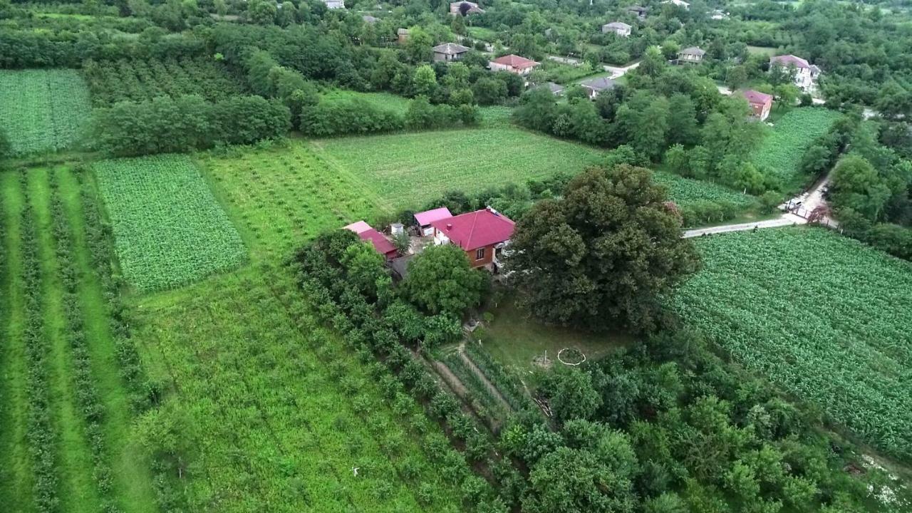 Guesthouse Kamelia Martvili Buitenkant foto