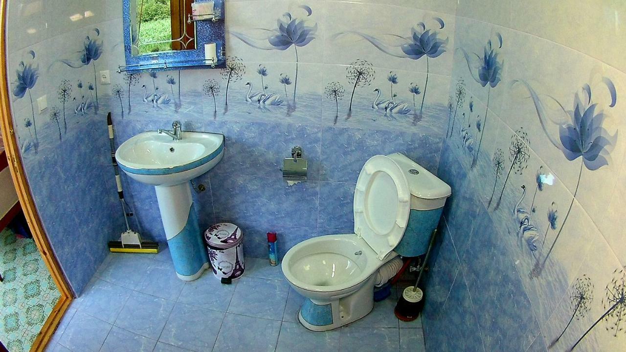 Guesthouse Kamelia Martvili Buitenkant foto